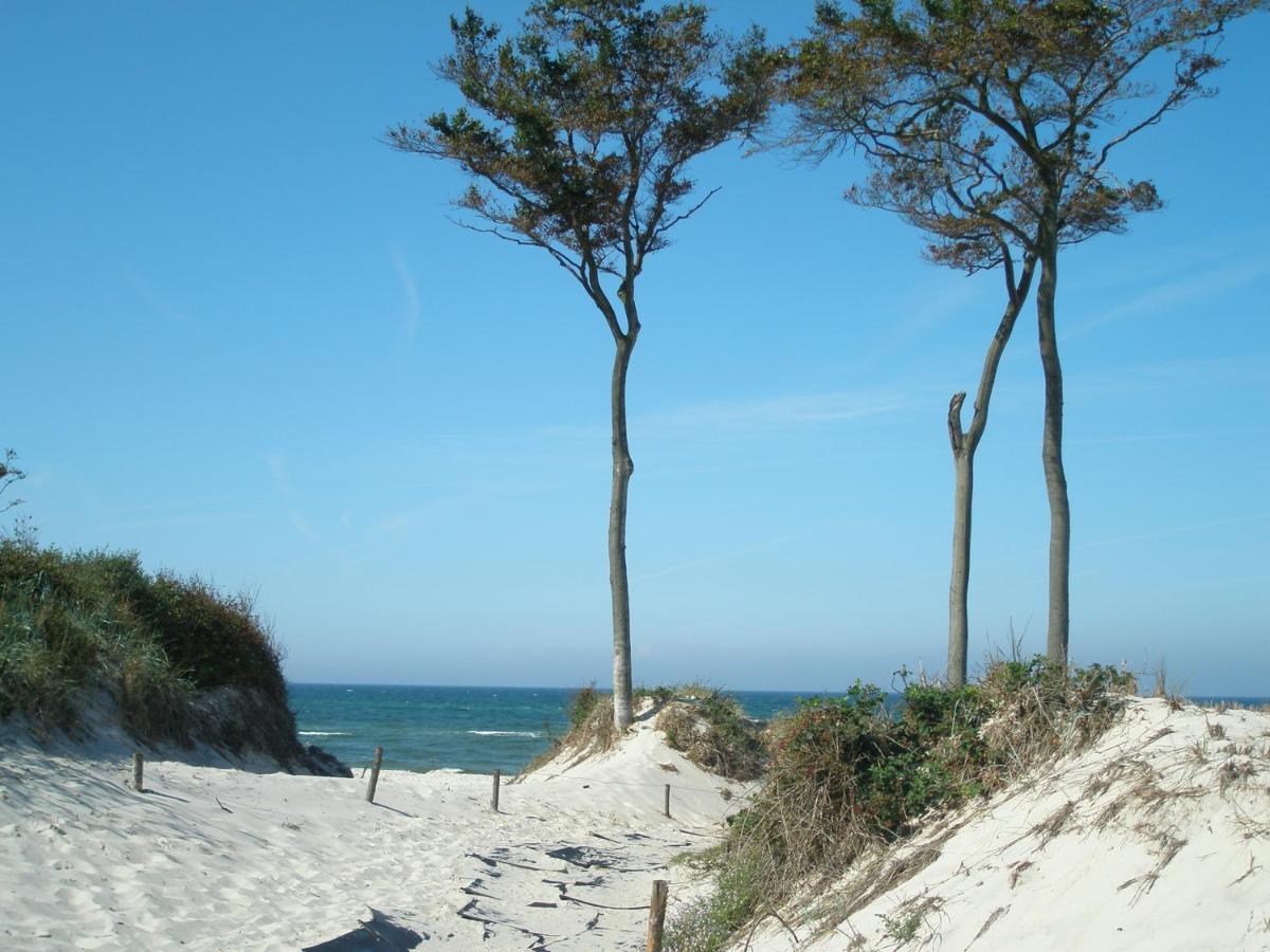 Kavelweg 13 Whg 4 - Kleiner Kaeptn Zingst Exterior foto